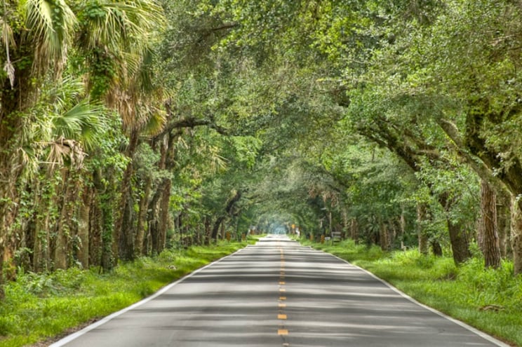 Martin County Grade Shaded Roadway