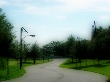 Solar Powered Street Light