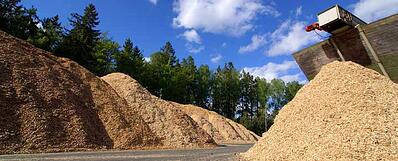 Bioenergy