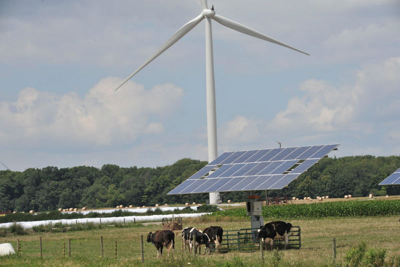 Solar Panels in Field Solar Panels in Field