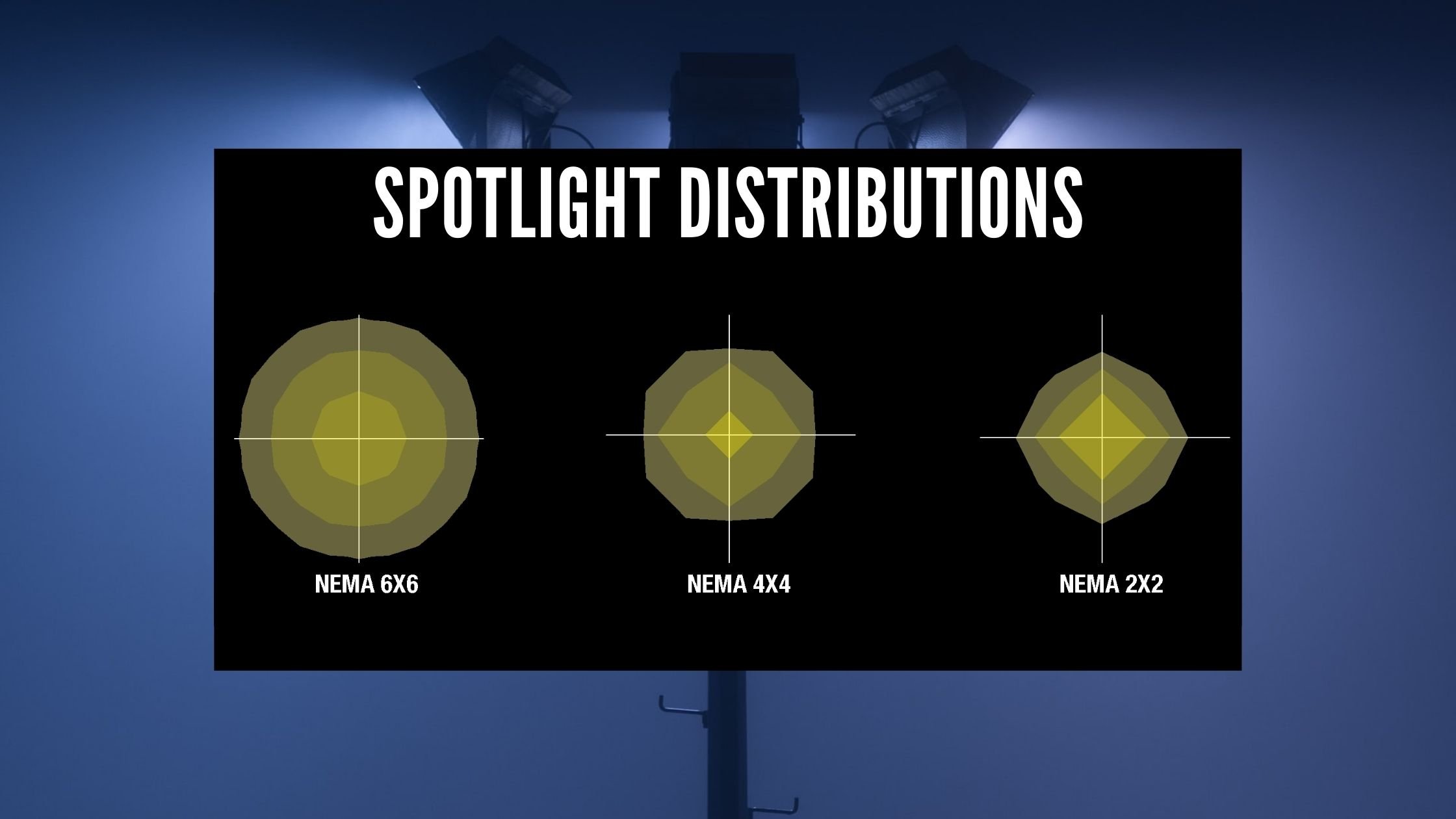 Spotlight Distribution
