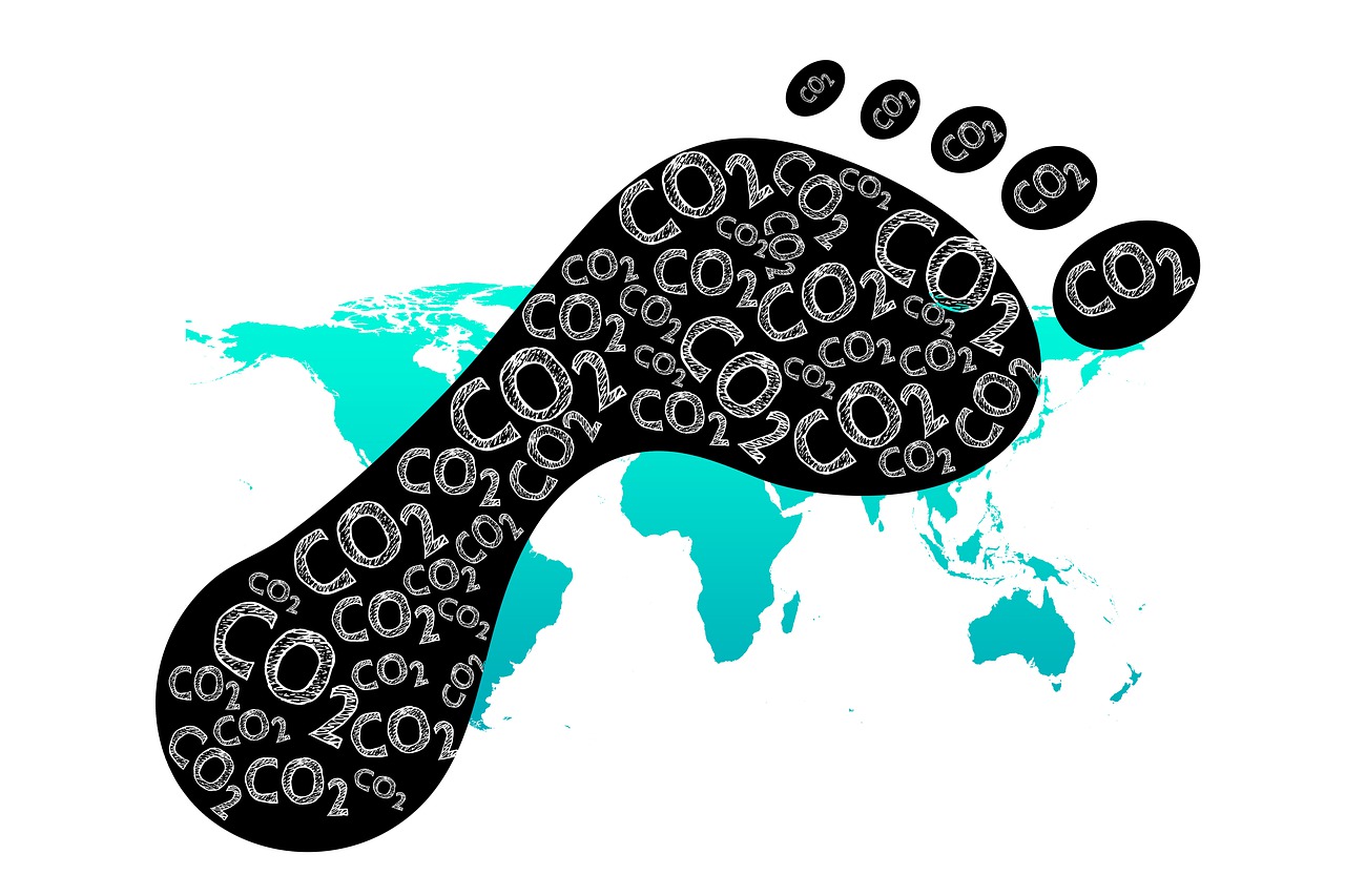 Carbon Footprint
