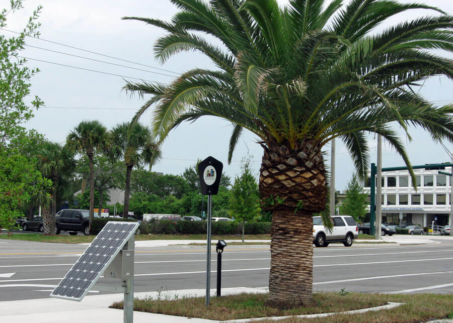 Palm City Tree Lights for Solar Landscape Lights