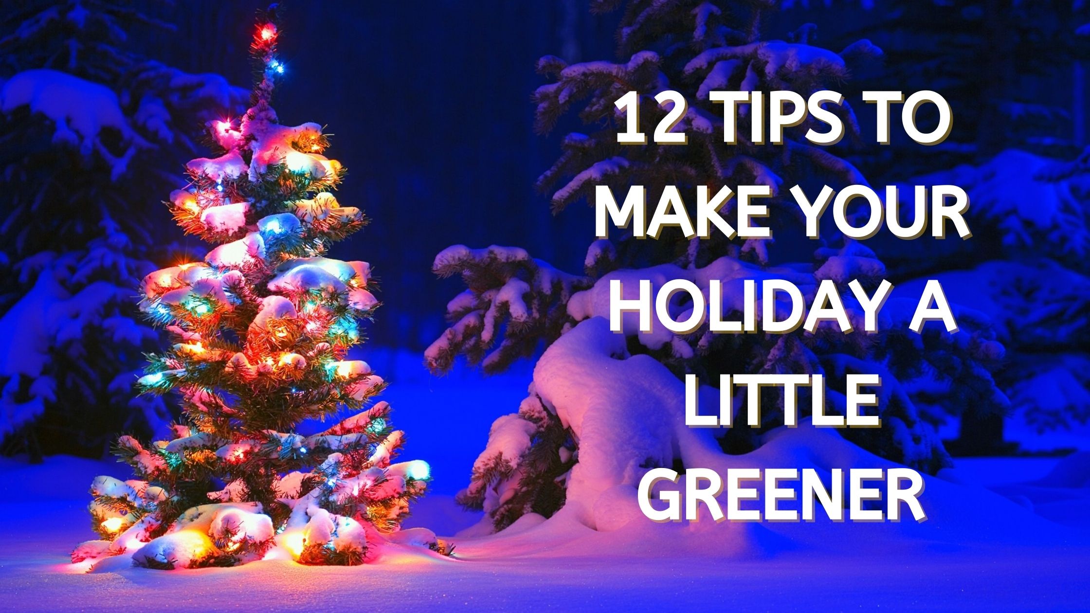 12 Tips to Make Your Holiday A Little Greener