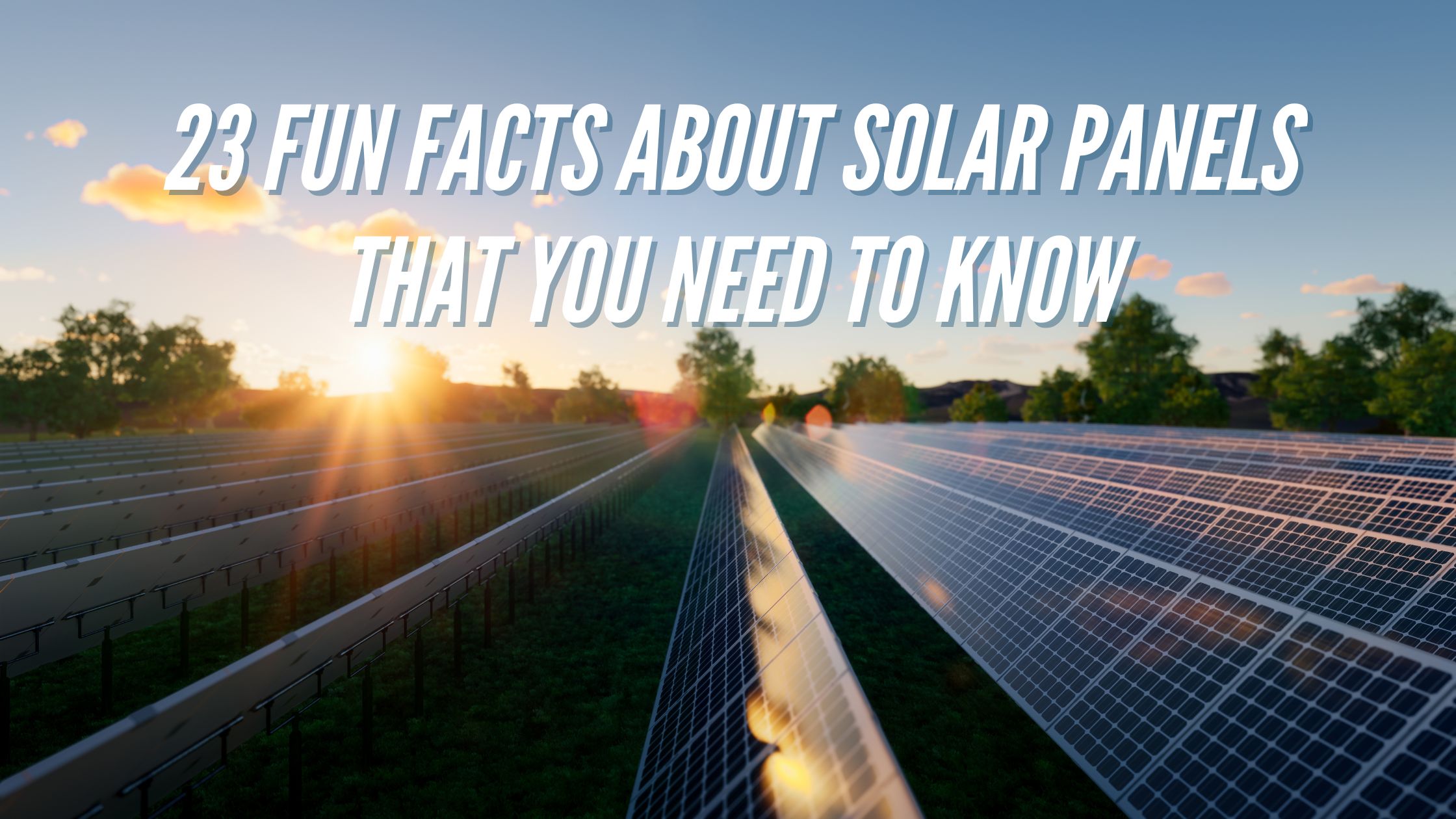 23 Fun Facts about Solar Panels That You Need To Know