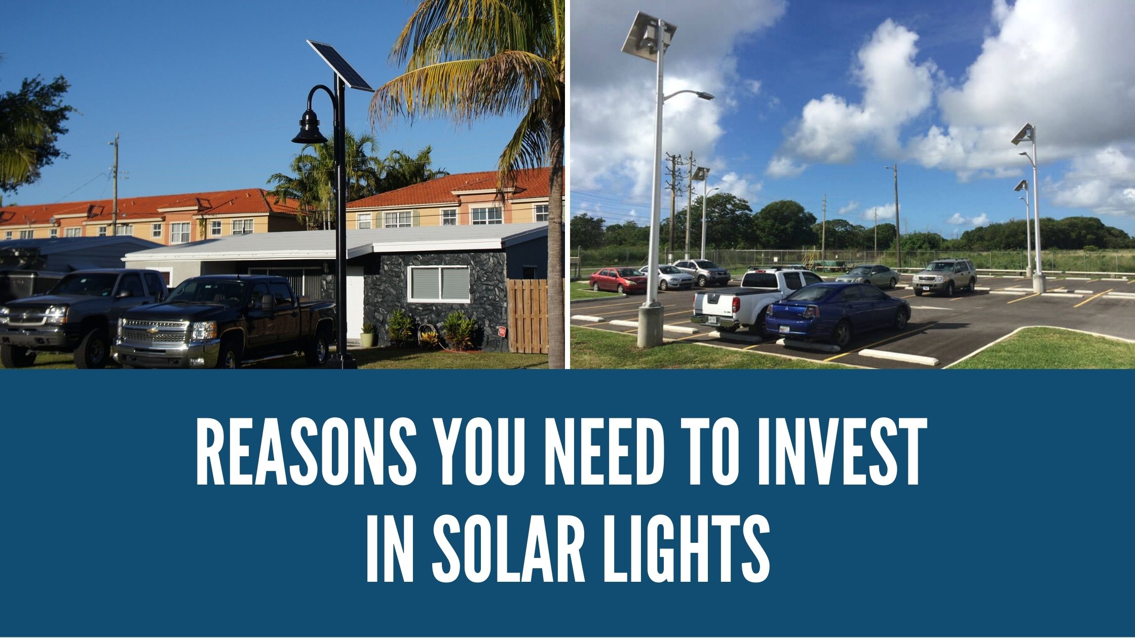 Reasons You Need to Invest in Solar Lights