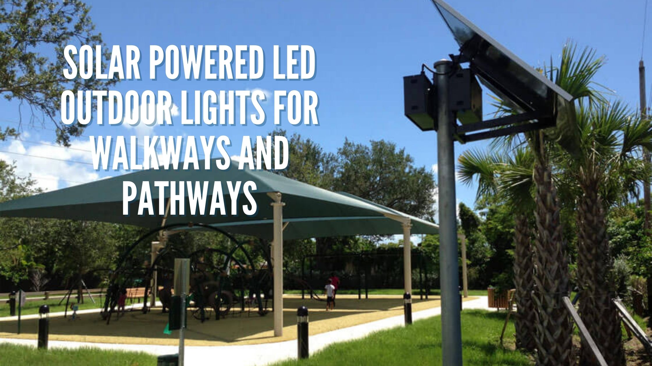 Solar Powered LED Outdoor Lights for Walkways and Pathways