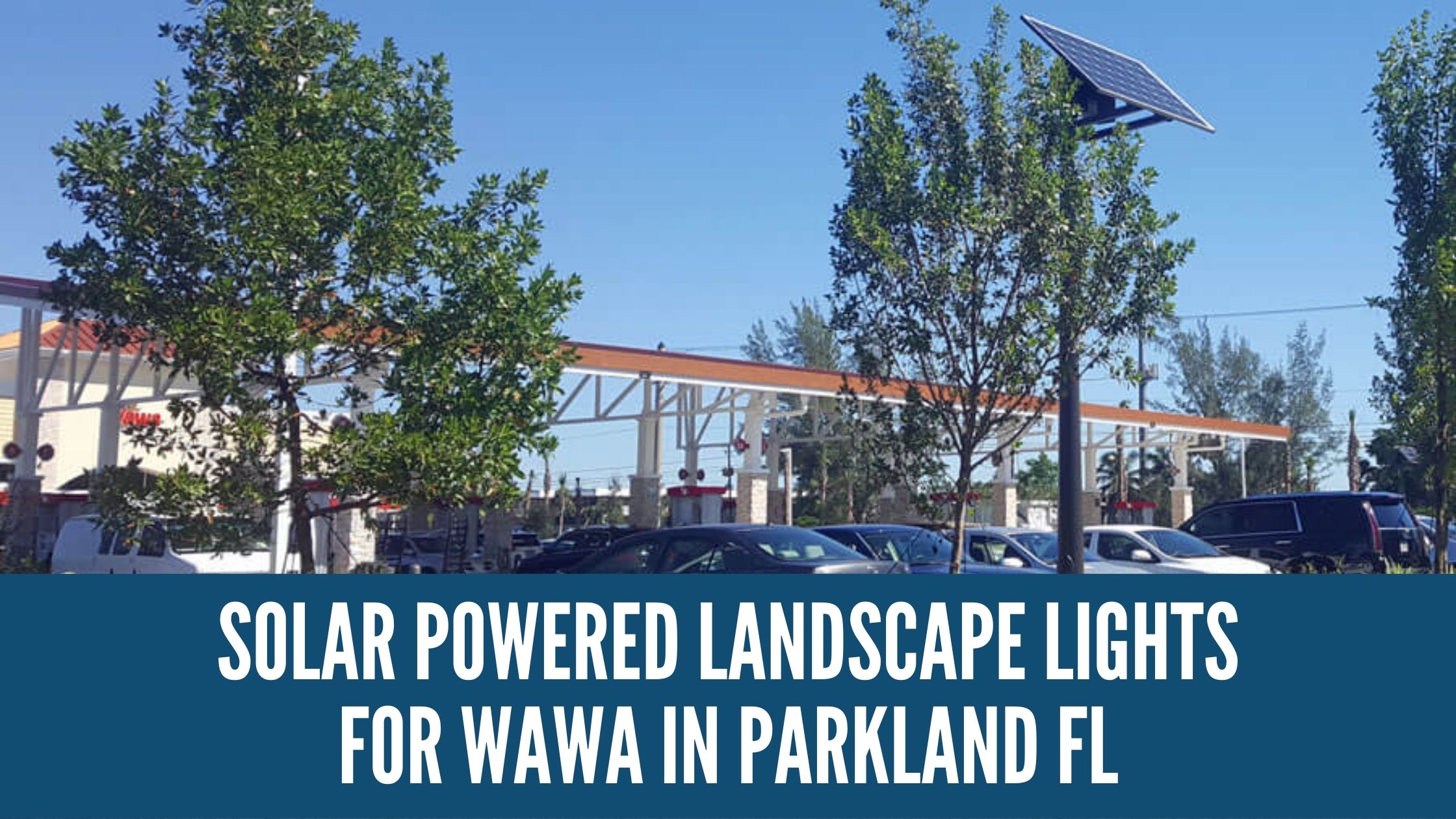 Solar Powered Landscape Lights for Wawa in Parkland FL