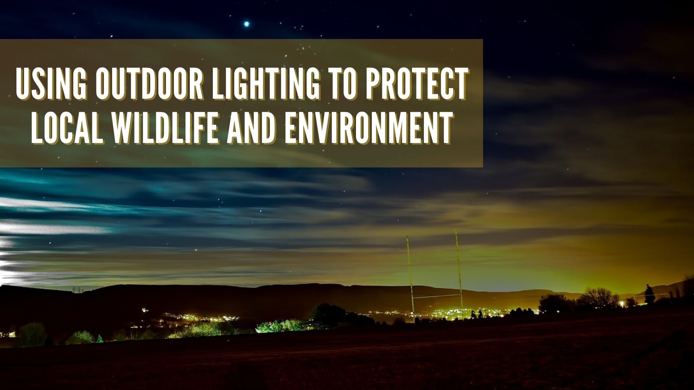 Using Outdoor Lighting to Protect Local Wildlife and Environment