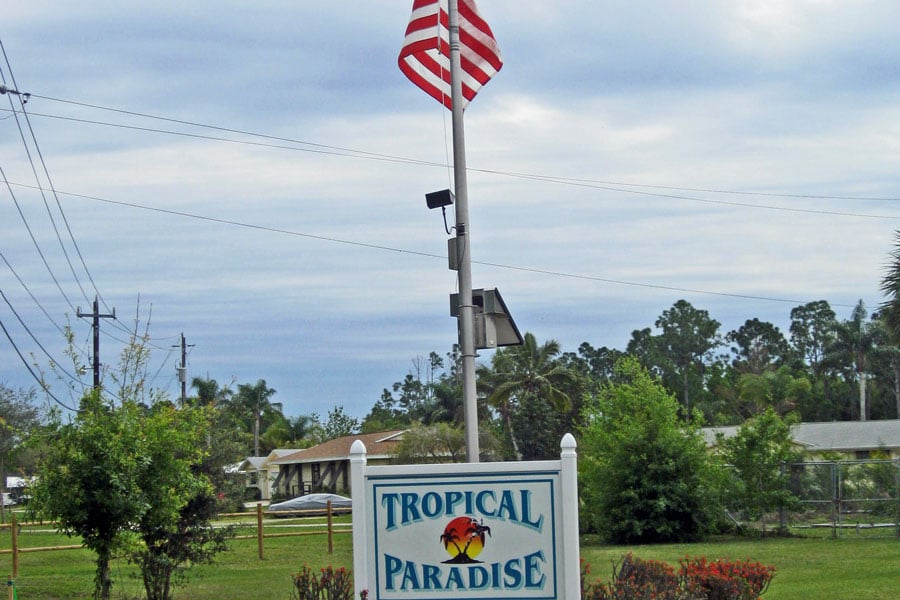 Tropical Paradise Solar Powered Flagpole Light