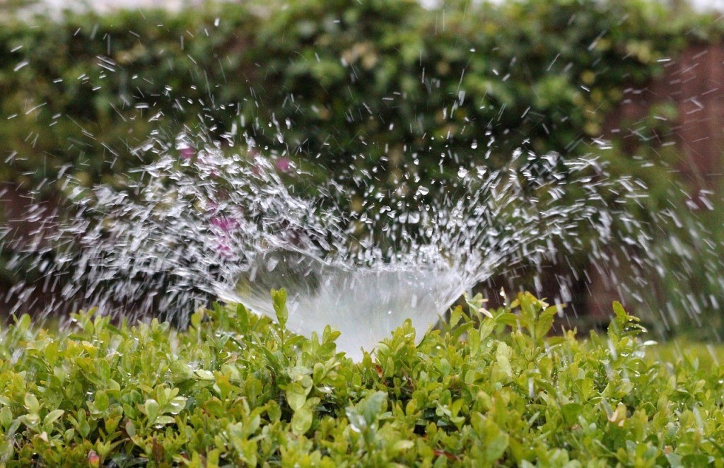 Sprinkler